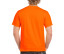 ULTRA COTTON ADULT T-SHIRT